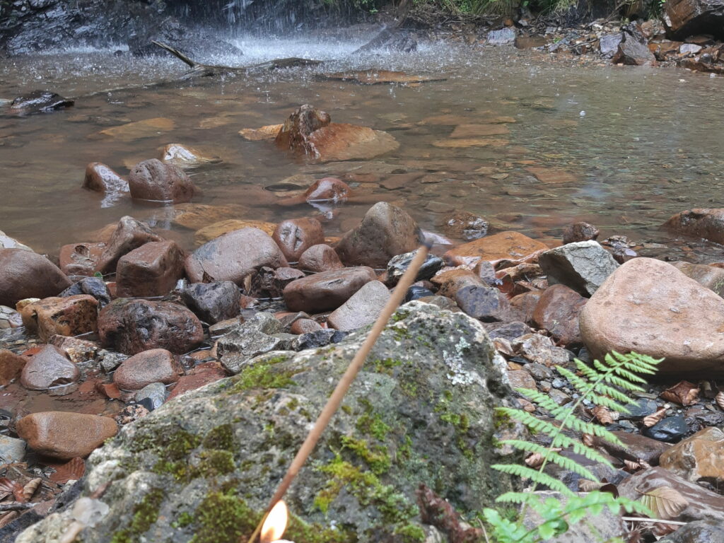 Cap e Coa - Nettoyage de lieux