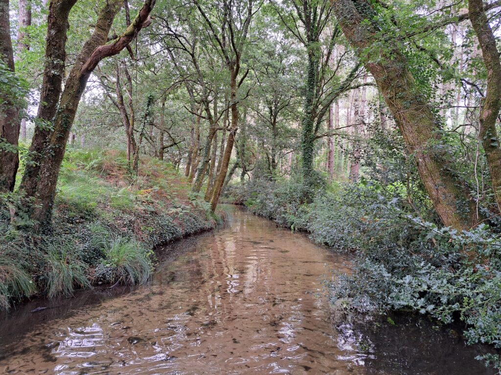 Cap e Coa - Landes Saye