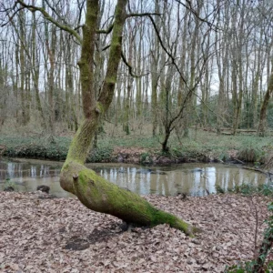 Cap e Coa - Equinoxe d'Automne